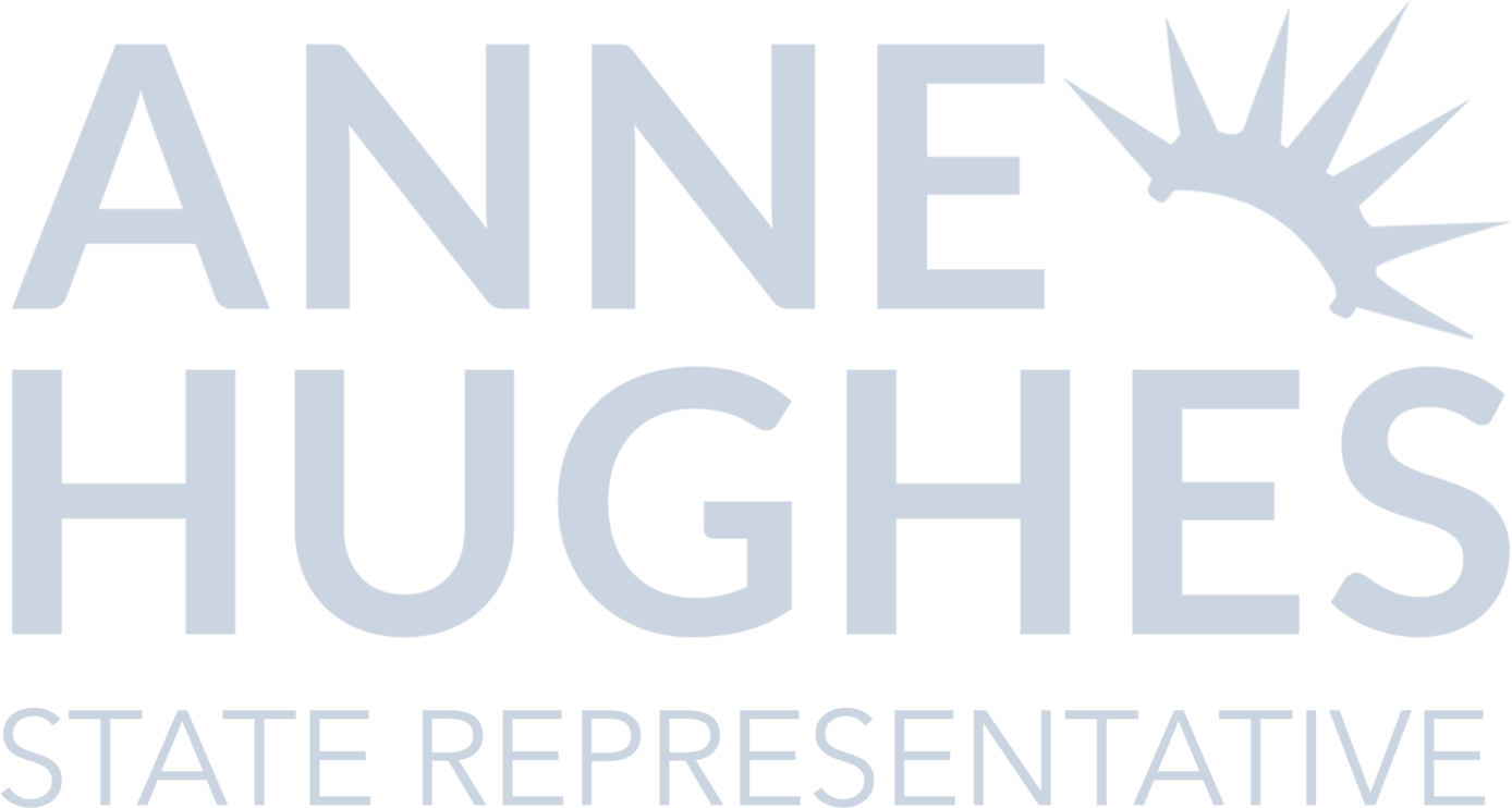 Anne Hughes for State Representative